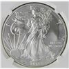 Image 1 : 2013 AMERICAN SILVER EAGLE