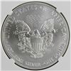Image 2 : 2013 AMERICAN SILVER EAGLE