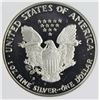 Image 2 : 1989-S AMERICAN SILVER EAGLE