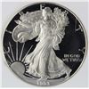 Image 1 : 1993-P AMERICAN SILVER EAGLE