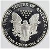 Image 2 : 1993-P AMERICAN SILVER EAGLE