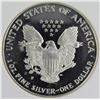 Image 2 : 1994-P AMERICAN SILVER EAGLE