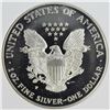 Image 2 : 1996-P AMERICAN SILVER EAGLE