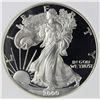 Image 1 : 2000-P AMERICAN SILVER EAGLE
