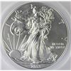 Image 1 : 2013-W AMERICAN SILVER EAGLE