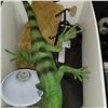 Image 2 : WHITE BIN W/ REPTILE ACCESSORIES AND IGUNA SIMULATOR - WORKING