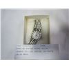 Image 1 : WORKING WOMENS REPRO ROLEX GENEVE CELLINI SERIAL 16-78678 SWISS MADE