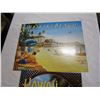 Image 2 : 2 HAWAIIAN TIN SIGNS