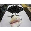 Image 1 : CONCH SHELL AND EASTERN STAND