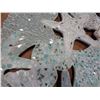 Image 2 : SHELL WALL ART