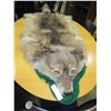 Image 1 : 6-1/2FT TAXIDERMY WOLF BY LG POP VANCOUVER