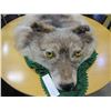 Image 2 : 6-1/2FT TAXIDERMY WOLF BY LG POP VANCOUVER