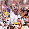 Image 2 : Looney Tunes Chicago Cubs by Looney Tunes