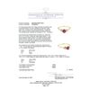 Image 5 : 1.37 ctw Ruby And Diamond Ring - 14KT Yellow Gold