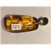 Image 2 : Large Beautiful Amber Pendant Filled with Insects and Plants 6.5 Total Grams Sterling Silver Clasp