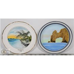 LOT OF TWO HAND PAINTED DECORATIVE PLATES