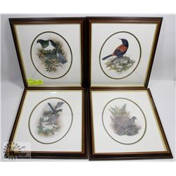 4 PIECE FRAMED ART THE BIRDS OF NEW ZEALAND,