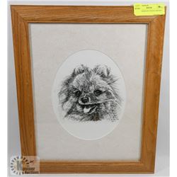 POMERANIAN BY STEVE CARTER # 371