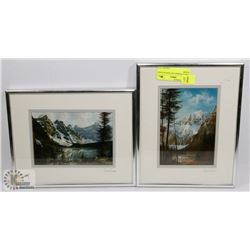 2 PIECE FRAMED ART SIGNED DAVID DAASE