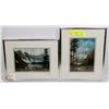 Image 1 : 2 PIECE FRAMED ART SIGNED DAVID DAASE