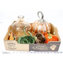 FLAT OF DECORATIVE GOURDS AND MORE