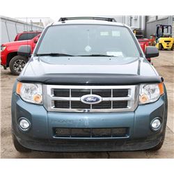 2010 FORD ESCAPE XLT