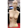 Image 1 : FEMALE 1/2 BODY MANNEQUIN