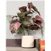 Image 1 : ARTIFICIAL PLANT