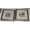 13 X 13 PAIR OF FRAMED PICTURES
