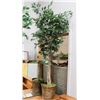 Image 1 : SHOWHOME ARTIFICIAL PLANT