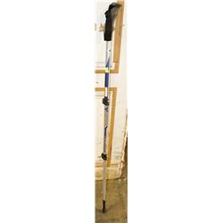 BLUE DIAMOND WALKING STICK