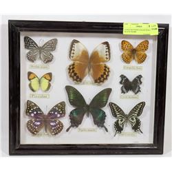 8 PIECE BUTTERY COLLECTION IN BLACK FRAME