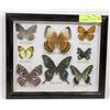 Image 1 : 8 PIECE BUTTERY COLLECTION IN BLACK FRAME
