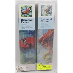 2 NEW DIAMOND PICTURES KITS INCLUDING