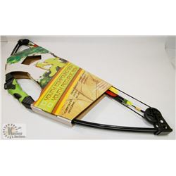 COMPOUND BOW WITH ARROWS, QUIVER AND ARM GUARD