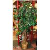 Image 1 : 5 FT TALL ARTIFICIAL SILK FIG TREE IN POT