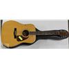 Image 1 : FENDER 250 NATURAL GUITAR WITH HARD CASE.