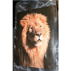LION PICTURE