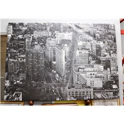 IKEA FLAT IRON BUILDING PICTURE NEW YORK 79"X64"