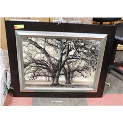FRAMED TREE PICTURE.