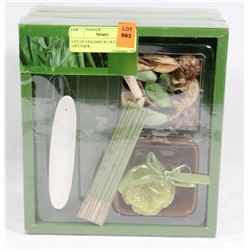 LOT OF 3 INCENSE PLUS CANDLE GIFT PACK
