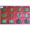 Image 2 : British cap badges (23)