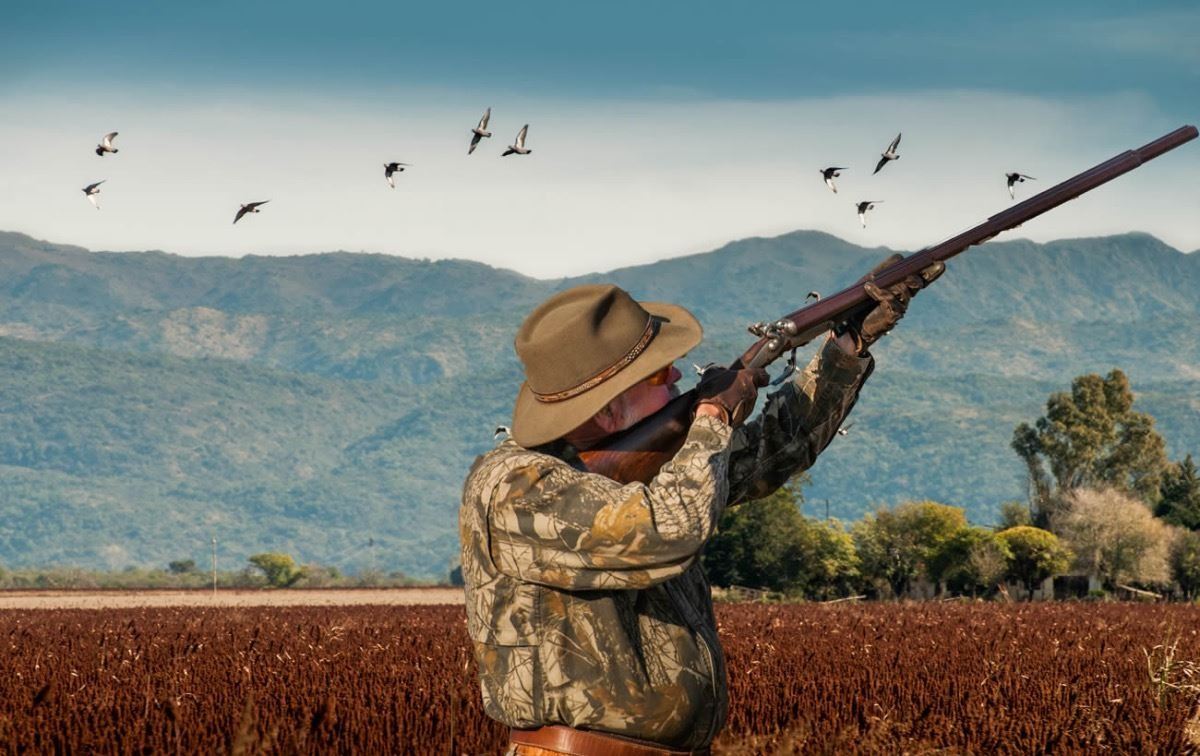 Argentina Dove Shooting 4 Days 3 Nights For 3 Hunters argentina-dove-shooting-4-days-3-nights-for-3-hunters