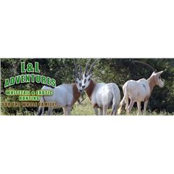 Trophy Exotic Hunt in Texas