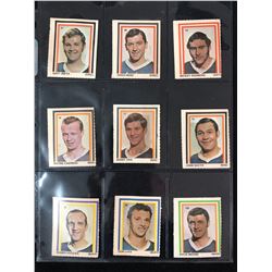 1972-73 Eddie Sargent NHL Players Stickers