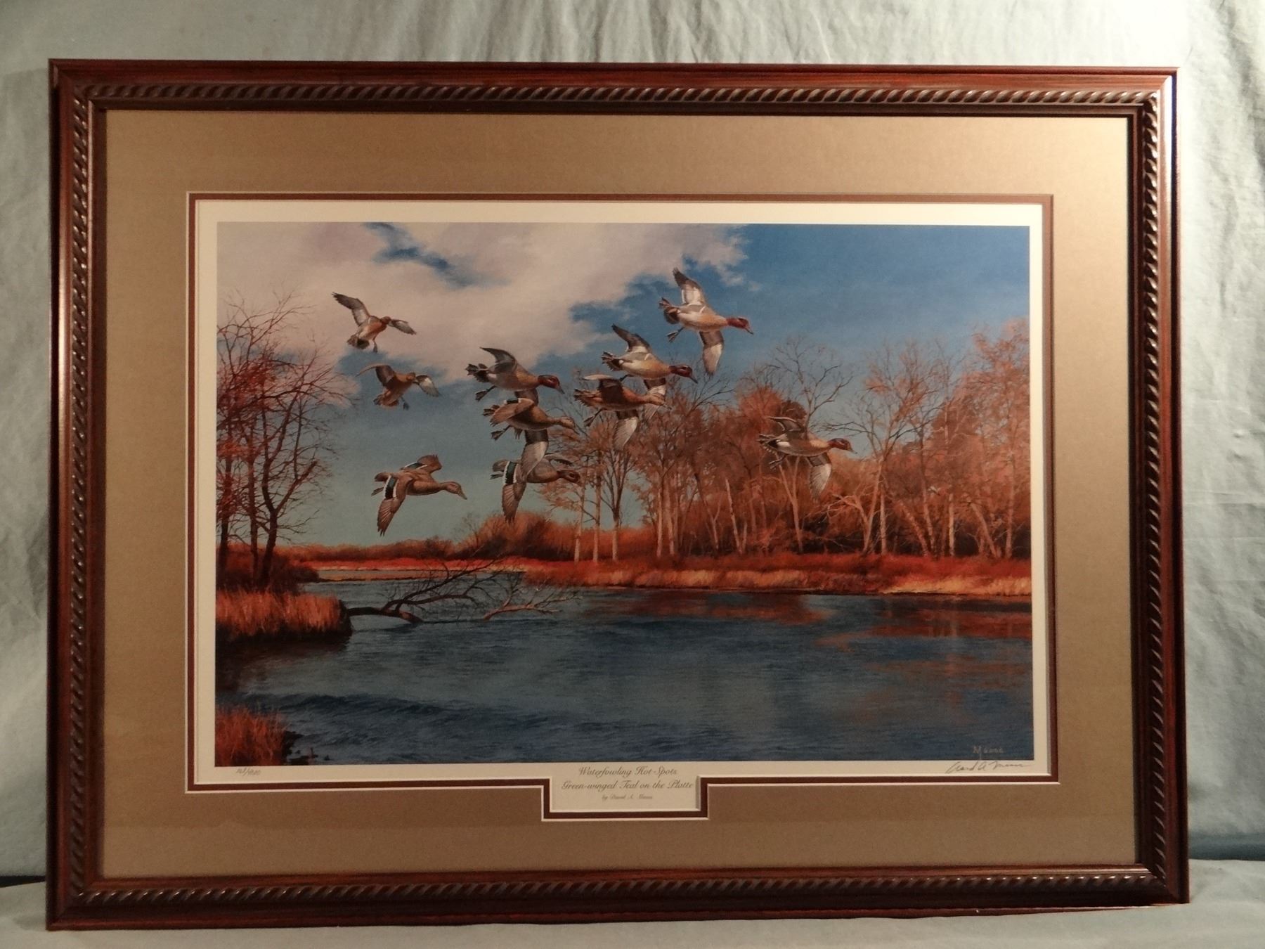 David A. Maass, Waterfowling Hot Spots Greenwinged Teal on the Platte