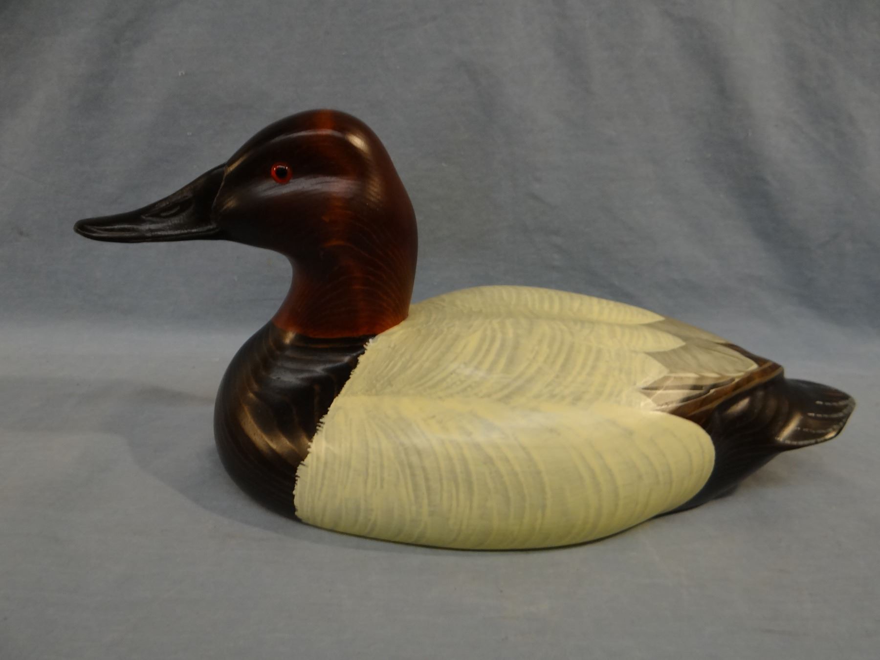 Canvasback wood carved decoy