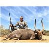 Image 5 : 10 Day/9 Night Safari with Ubathis Global Safaris Two Trophy Nyala Bulls For 2 Hunters includes dail
