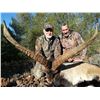 Image 4 : 6 Day BECEITE Ibex Ibex hunt for 2 Hunters with Spain Hunting Ibex – Includes 2 BECEITE Ibex
