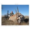 Image 5 : 7 Day South African Spiral Horn Hunt for two Hunters